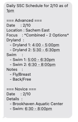 Screenshot of a sample daily SMS schedule
